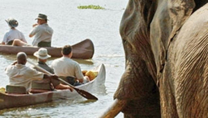 Chongwe Safaris