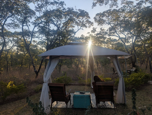 Forest Bush Spa