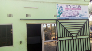 Hayclub pub and grill