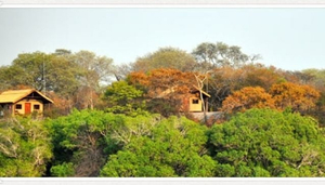 Matoya Fishing Lodge