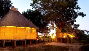 Nsolo Bush Camp
