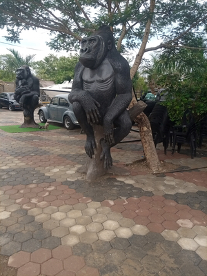 Royal Park Waterfront kafue