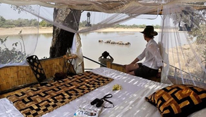 Shenton Safaris