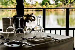 The Elephant Cafe, Livingstone