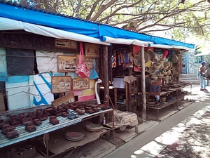 The Fig Tree Cafe