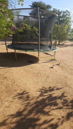 Villa View Q
