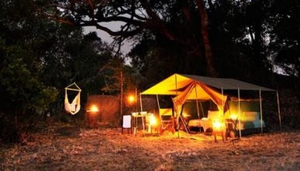 Zambian Dawn Safaris