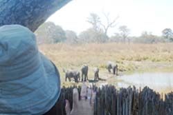Kafue National Park
