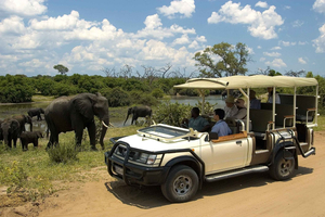 3-tägiges Victoria Falls Abenteuer mit Chobe National Park