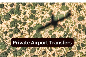 Traslado al aeropuerto privado de 2 a 4 personas