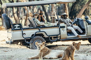 Sunrise Game Drive in Zambezi NP: Big Five Tracking