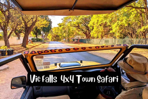Victoria Falls: Safári 4x4 na cidade de Victoria Falls