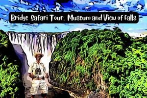 Victoria watervallen: Begeleide brugsafari met museum + watervallen