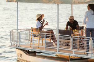 Visite guidée des chutes Victoria : croisière de luxe et dîner au bord de la rivière