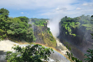 Cataratas Vitória: Excursão a Pé Guiada com Serviço de Busca no Hotel