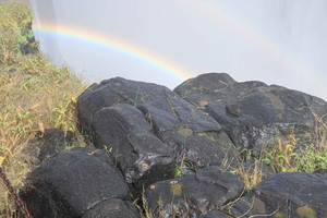 Victoria Falls Leisure Walk & Big Tree Experience