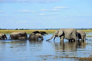 Victoria Falls: Private Guided Tour with Abseiling & Lunch