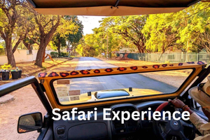 Victoria Falls: Zambezi National Park Safari
