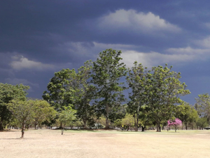 Bulawayo Country Club