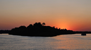 Bush Cusine Jetty