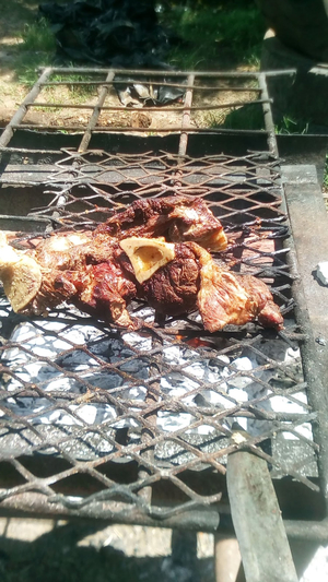 Chishamiso Beer Gardens