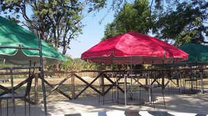 Cultures Resort Traditional African Restaurant
