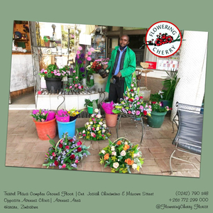 Flowering Cherry Florist