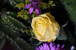 Flowertique Florist