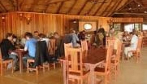 Game Drive Safaris (Wild Horizons)