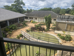 Gwango Tamarillo Estate
