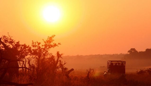 Hwange Safari Lodge