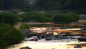 Kaza Safaris