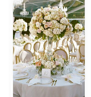 Mosha Bridal