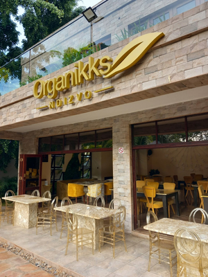 Organikks Ndizvo