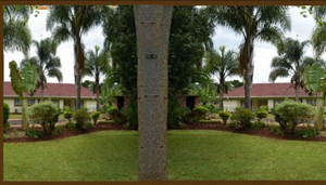 Palm Villa