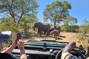 Passeio de carro com rinocerontes - Parque Nacional Mosi-oa-tunya