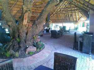 Road Runner Restaurant