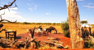 Somalisa Expeditions