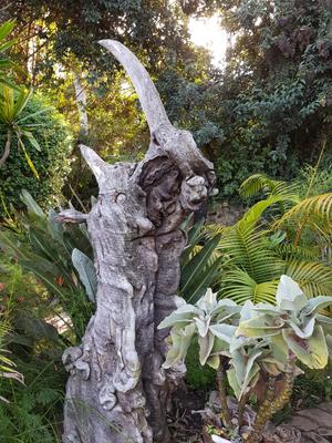 Sunshine Guest Lodge