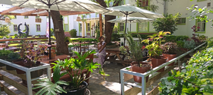 The Nest Cafe