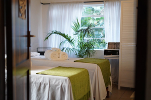 The Reflexology Home of Therapy Spa