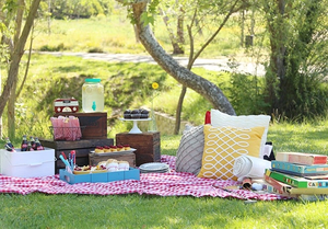 Victoria Falls Resort Picnics