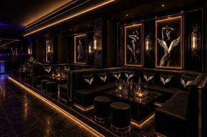 Vybe Vip Night Club