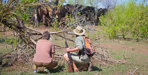 Walking Safaris - (Wild Horizons)