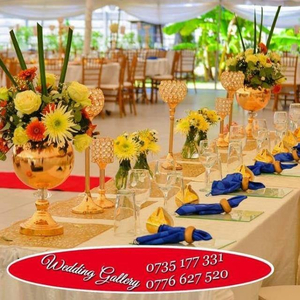 Wedding Gallery