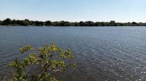 Zambezi boat club bar and restaurant