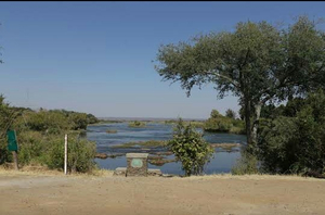 Zambezi Dry Manzi