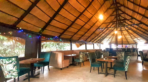 Zebras Dazzle Restaurant
