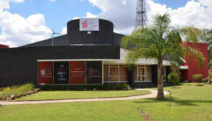 ZiFmStereo