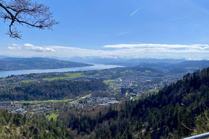 Accompanied hike to Uetliberg